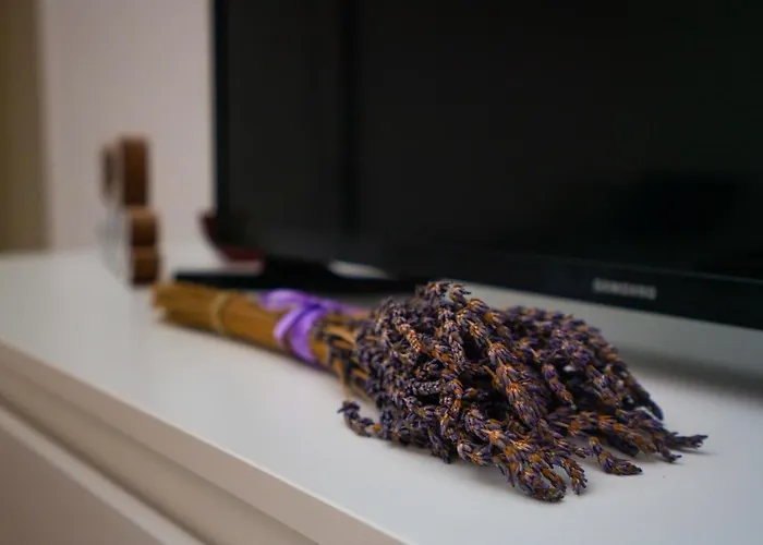 Lavender Apartment